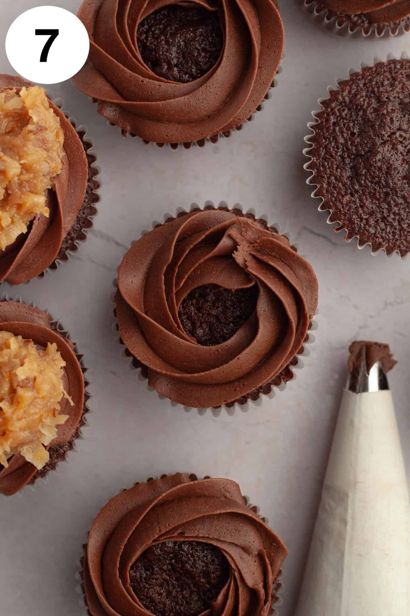An overhead view of chocolate cupcakes with a border of chocolate frosting piped on top. 