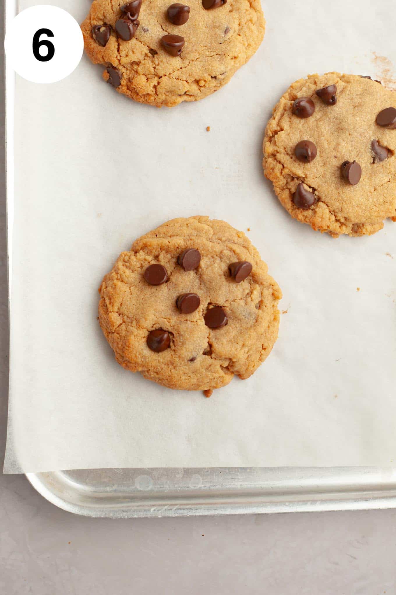 Baked chocolate chip peanut butter cookies on a parchment paper-lined baking sheet. 