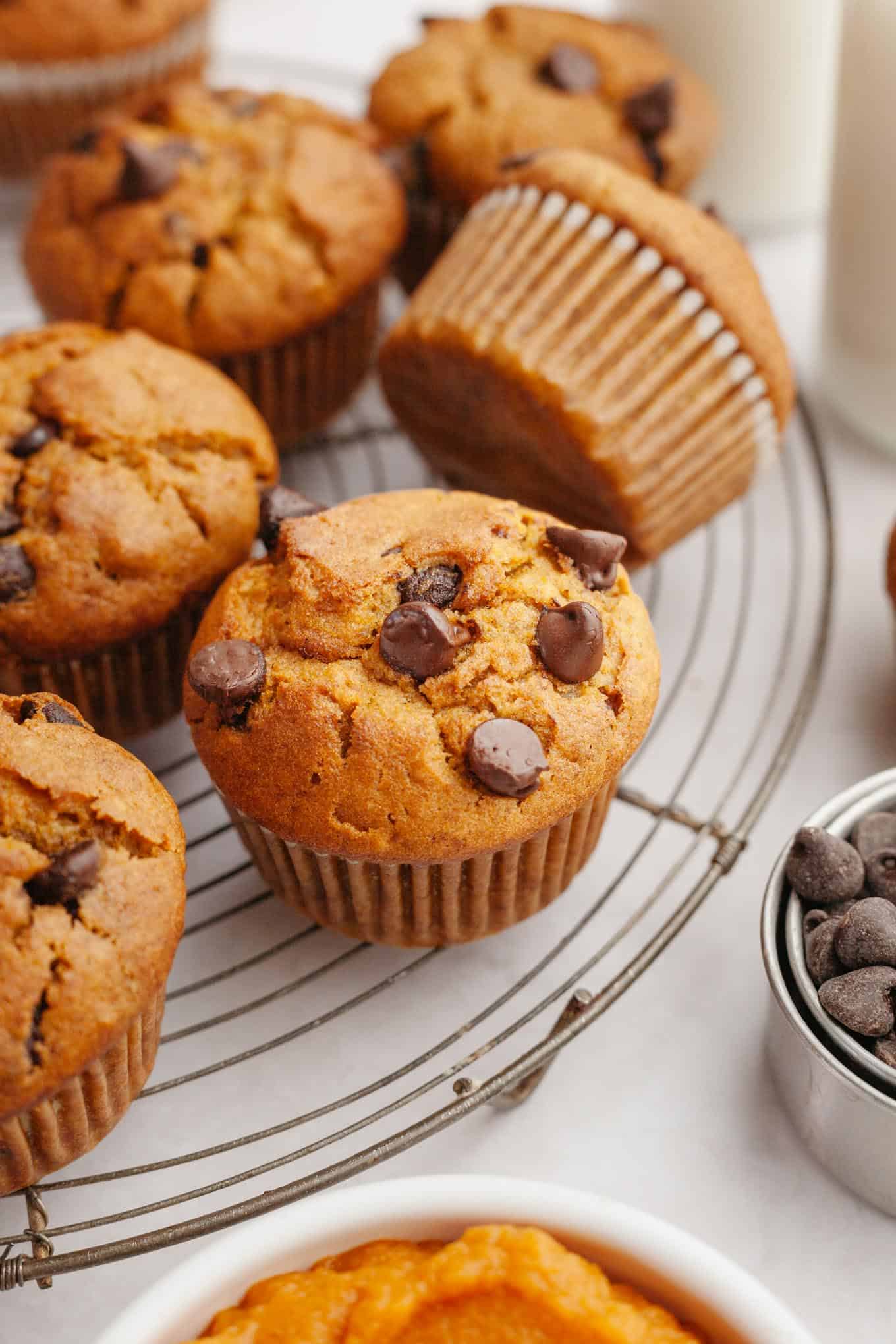 Chocolate chip pumpkin muffins cooling on a wire rack. 