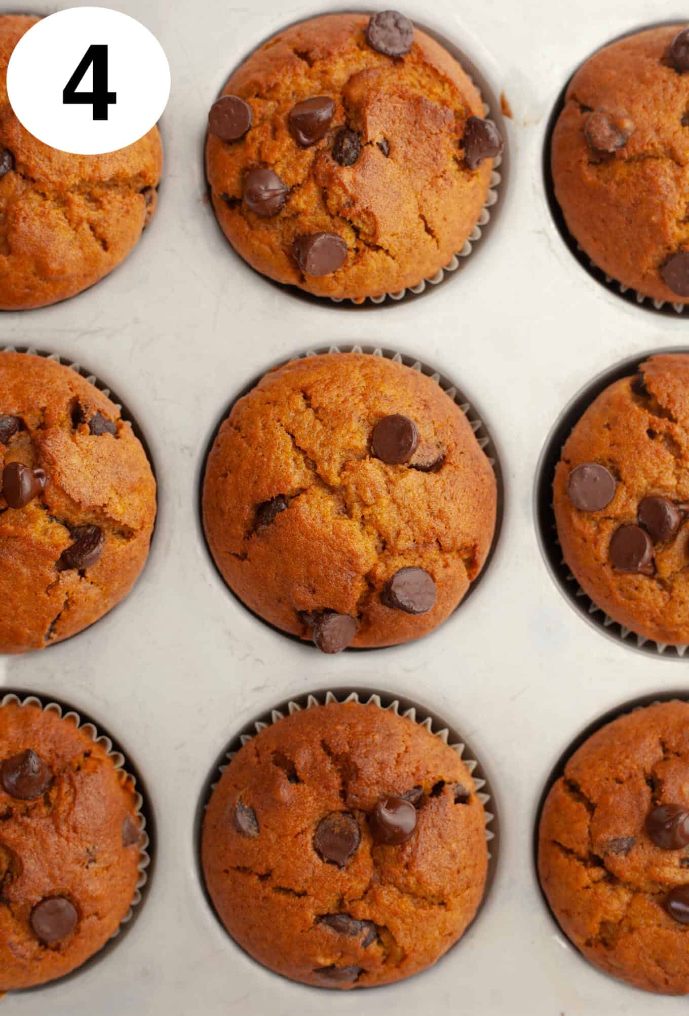 An overhead view of a baked spiced pumpkin chocolate chip muffins in a muffin pan. 