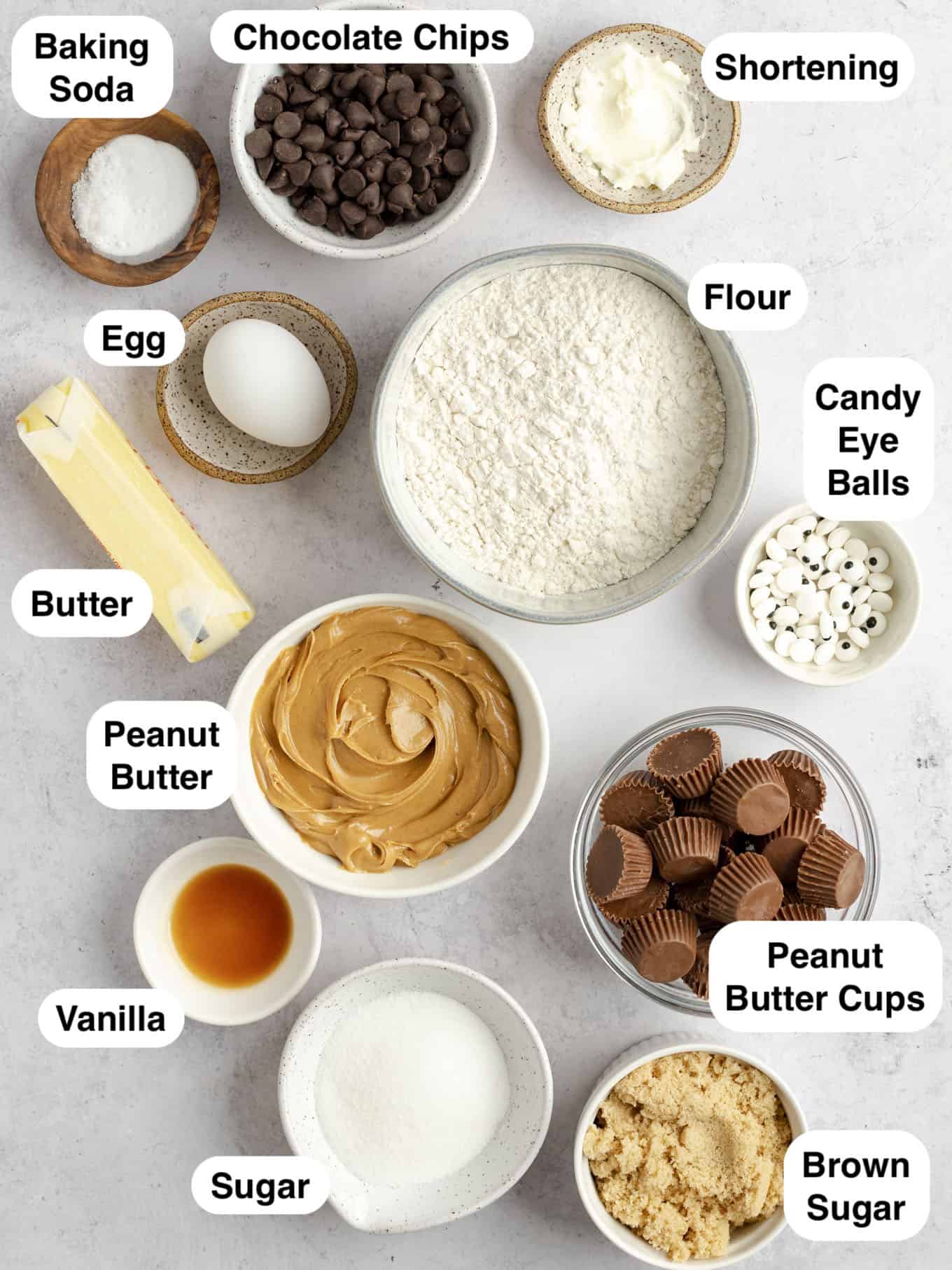 An overhead view of the ingredients needed to make peanut butter spider cookies. 