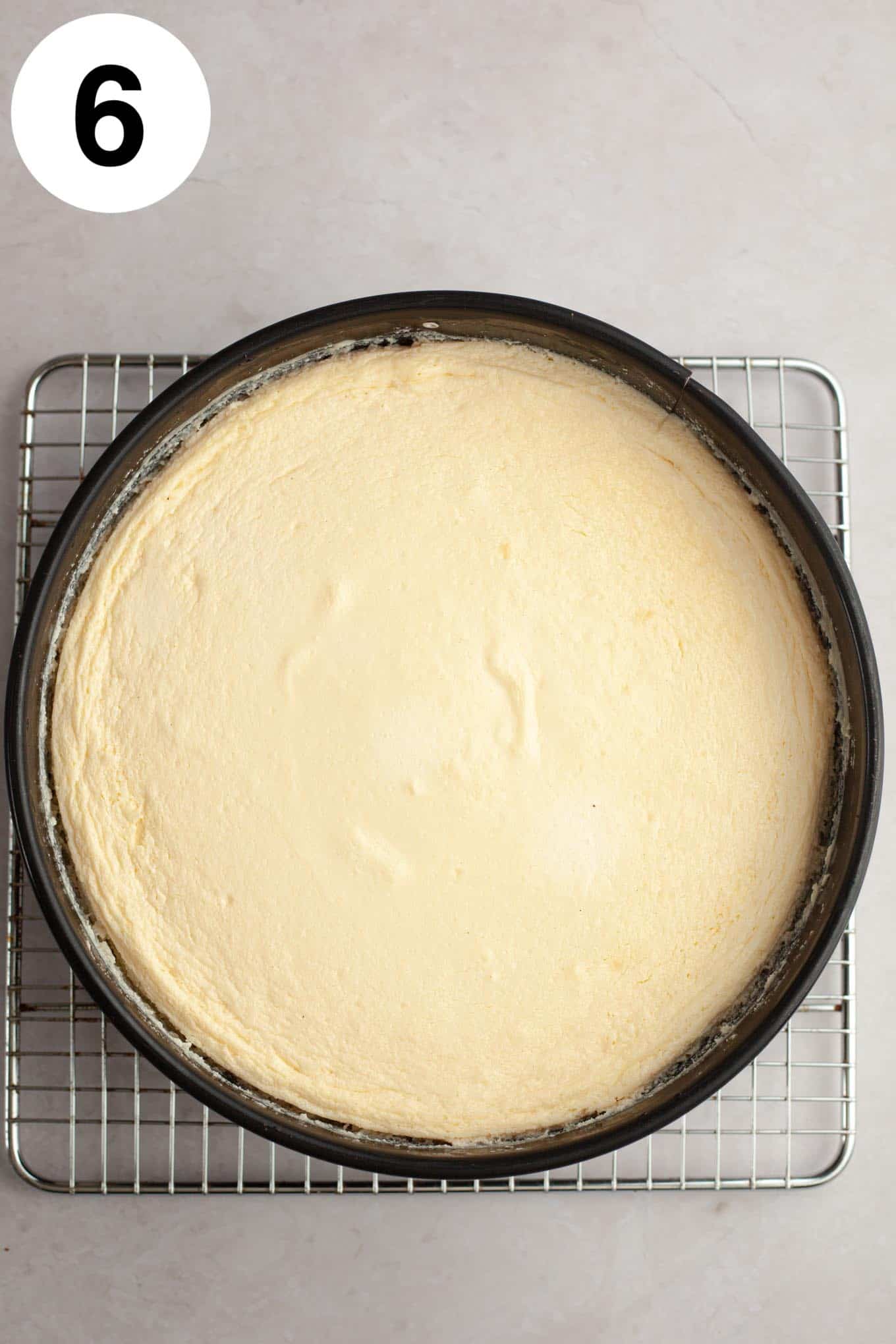 An overhead view of a baked cheesecake in a springform pan. 